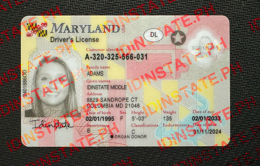 New Maryland Fake Driver license,New Maryland FAKE ID