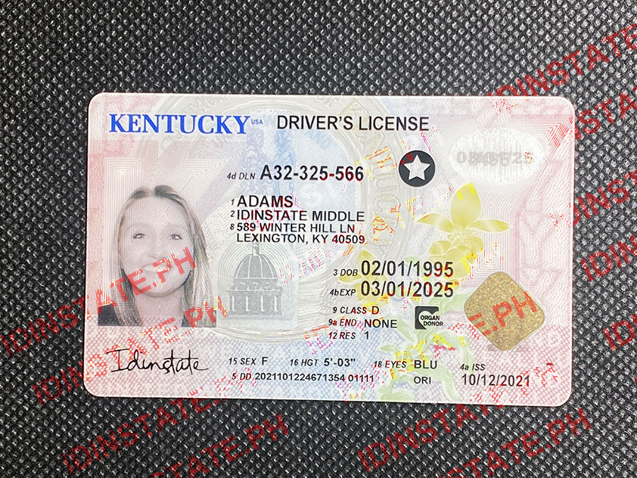 KENTUCKY Fake Driver License