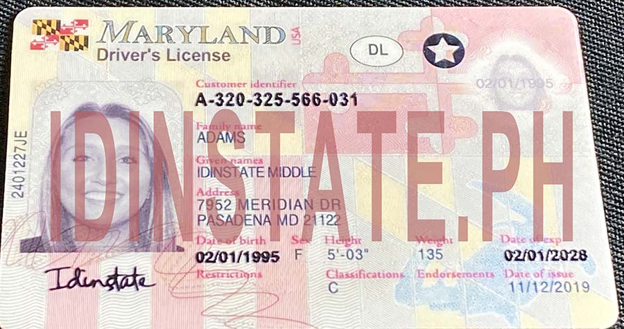 MaryLand Fake Driver License