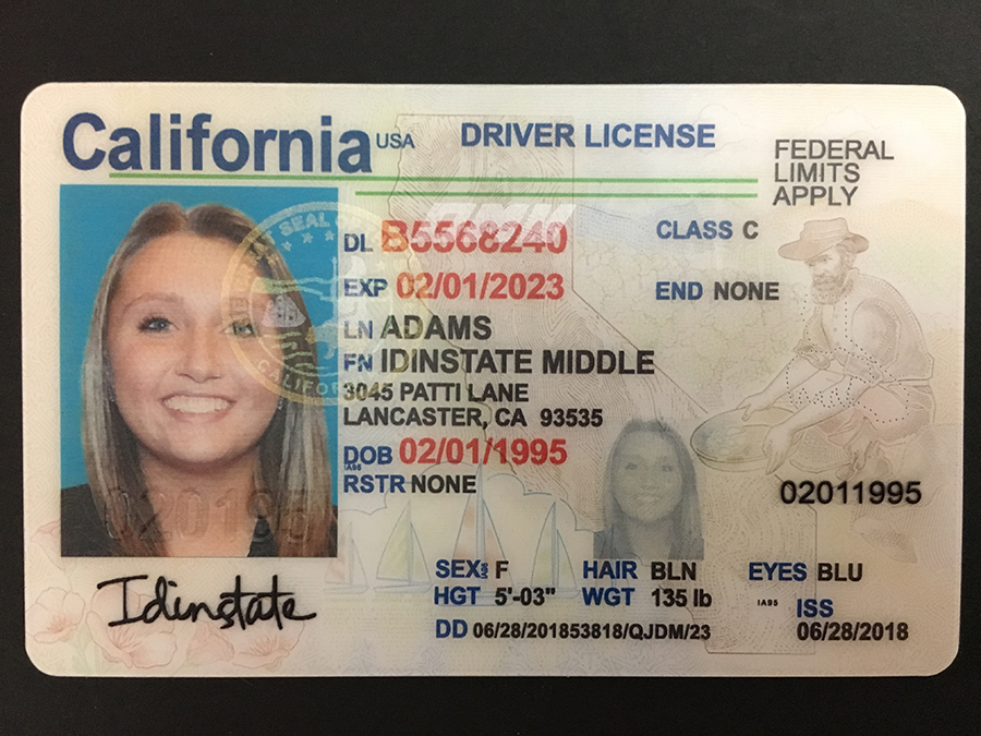 New Washington Fake Driver license